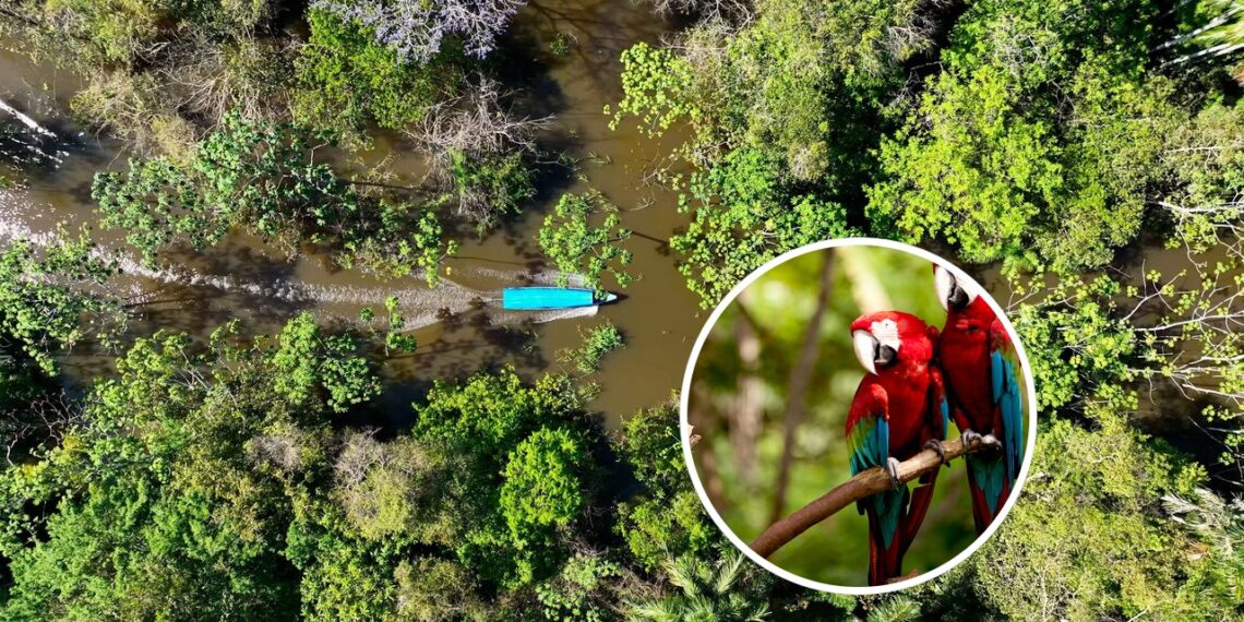Caminhadas rios e tradições que só esse destino pode oferecer