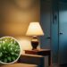 As 3 melhores plantas para ambientes com pouca luz natural