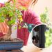 As 4 melhores plantas para proteger a entrada da sua casa