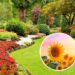 As 3 plantas que crescem mais rápido e deixam o jardim incrível