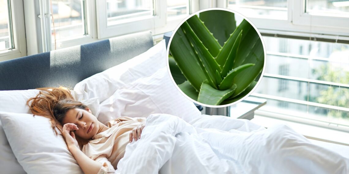 Transformar seu jardim em um refúgio para beija-flores e borboletas é uma tarefa gratificante que envolve a escolha das plantas certas. Descubra como algumas espécies específicas podem fazer a diferença na vida selvagem que visita seu espaço verde. Confira abaixo os pontos-chave que serão abordados: Principais plantas que atraem beija-flores e borboletas. Como integrar essas plantas ao seu jardim de forma harmônica. Dicas práticas para manter o ambiente sempre convidativo. Quais Plantas São Atraentes para Beija-flores? Os beija-flores são atraídos por flores tubulares de cores vibrantes. Se deseja atrair esses pássaros espectaculares, aposte em plumbago e gerânio no seu jardim. Suas flores ricas em néctar são um banquete para eles. Como Tornar seu Jardim um Paraíso para Borboletas? Para transformar seu jardim em um santuário para borboletas, invista em plantas como lavanda e mil-folhas. Elas não só fornecem néctar, mas também servem de abrigo e local para a postura de ovos. Por que Integração é Importante no seu Jardim? A harmonia entre plantas e animais é fundamental. Diversifique as espécies, criando um ecossistema que suporte diferentes tipos de vida selvagem. Esta prática não só embeleza o jardim, mas também fortalece a saúde das plantas. Atenção: Evite o uso de pesticidas que podem afastar tanto as borboletas quanto os beija-flores. Dicas para Manter seu Jardim Atraente o Ano Todo Manter o jardim atraente durante o ano todo requer planejamento e cuidado. Aqui está como fazer: Plante em épocas diferentes para garantir flores o ano inteiro. Regue regularmente, mas evite encharcar. Adube as plantas periodicamente para mantê-las fortes e saudáveis. Leia também: Como Escolher as Melhores Plantas para um Jardim Sustentável Adotar práticas que favorecem a biodiversidade transforma seu jardim em um espaço único e atraente para vários tipos de vida selvagem. Resumo Rápido dos Benefícios em Trazer Vida Selvagem para o Jardim Melhora a saúde das plantas ao promover polinização natural. Ecossistema equilibrado e visualmente atrativo. Conexão direta com a natureza, relaxante e pedagógica.