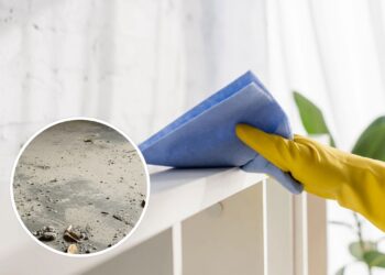 Nem vassoura, nem aspiradores: o melhor jeito de tirar a poeira de casa