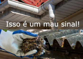 Acúmulo de folhas pode indicar entupimento iminente e infiltrações.