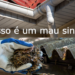 Acúmulo de folhas pode indicar entupimento iminente e infiltrações.