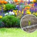O melhor tipo de fertilizante para deixar seu jardim mais saudável