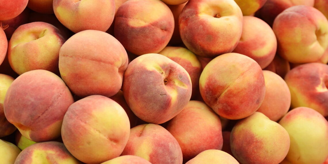 Veja as técnicas infalíveis para cultivar pêssegos de forma simples e sem erro