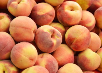 Veja as técnicas infalíveis para cultivar pêssegos de forma simples e sem erro