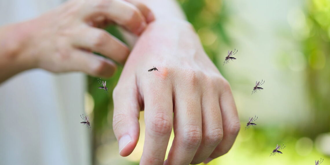 Ação repelente natural mantendo mosquitos afastados de áreas externas