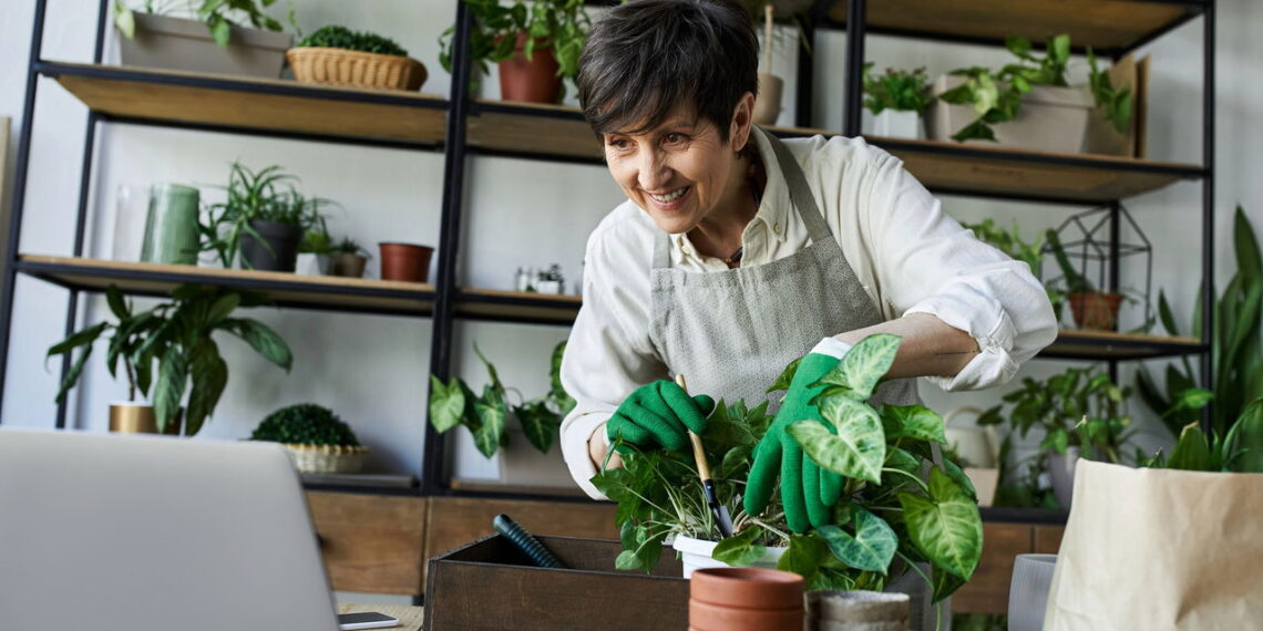 Plantas ideais para decorar e purificar seu ambiente com estilo
