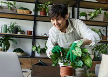 Plantas ideais para decorar e purificar seu ambiente com estilo