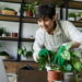Plantas ideais para decorar e purificar seu ambiente com estilo