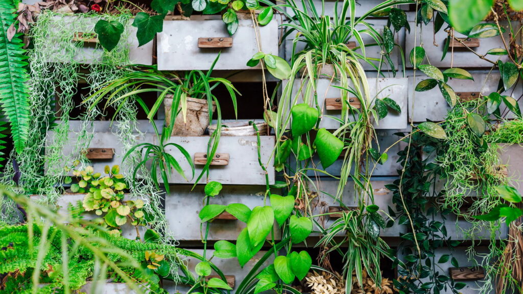 Plantas ideais para decorar e purificar seu ambiente com estilo