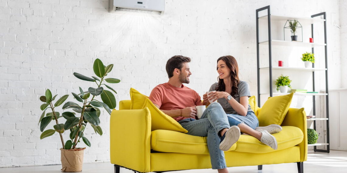 As 5 plantas ornamentais que deixam qualquer ambiente mais elegante
