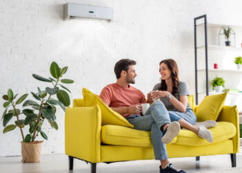 As 5 plantas ornamentais que deixam qualquer ambiente mais elegante
