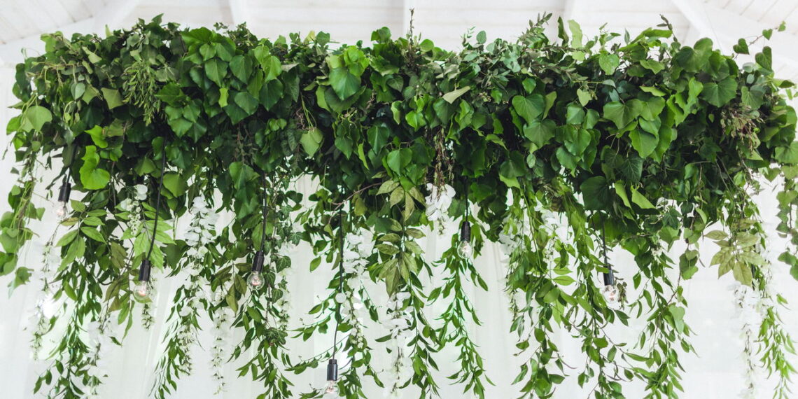 As 6 plantas mais bonitas para vasos suspensos