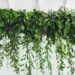 As 6 plantas mais bonitas para vasos suspensos