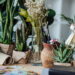 As 5 plantas perfeitas para quem mora em apartamento com pouca luz