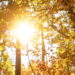 Esses países passam mais de 60 dias sem pôr do sol