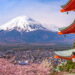 Essa cidade japonesa tem tudo o que falta em muitos destinos famosos