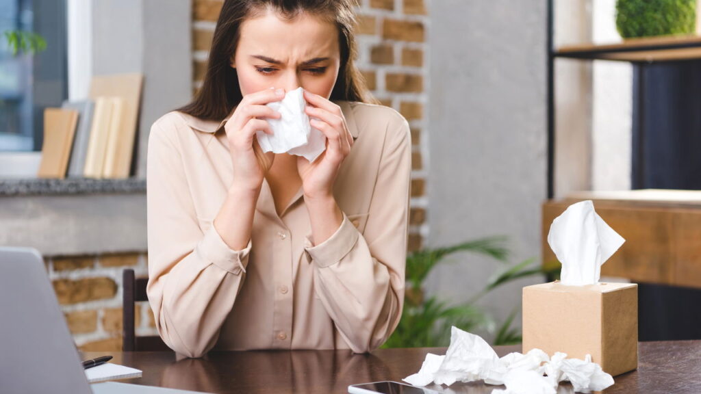 Alergia nunca mais: 5 plantas incríveis que funcionam como filtros naturais para o ar!
