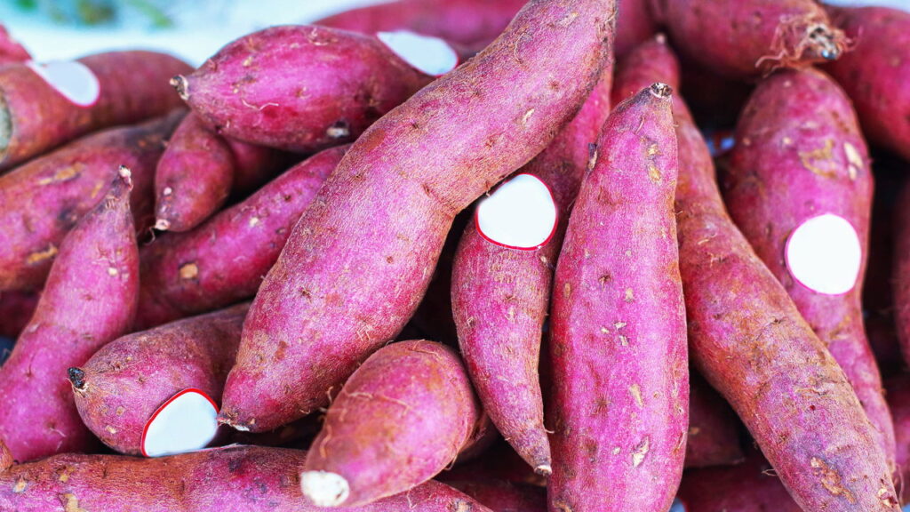 Hortaliça muito versátil na alimentação é também bem valorizada em hortas