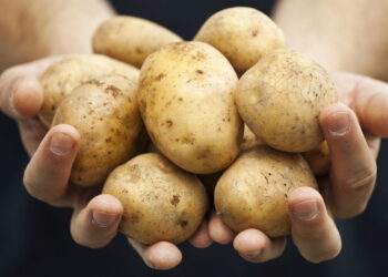 Nutritiva e perfeita para novas receitas essa planta é ótima para cultivar em casa!