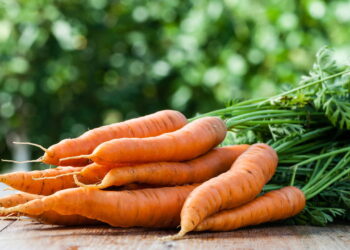 Dicas para manter cenouras crocantes e frescas por mais de um mês