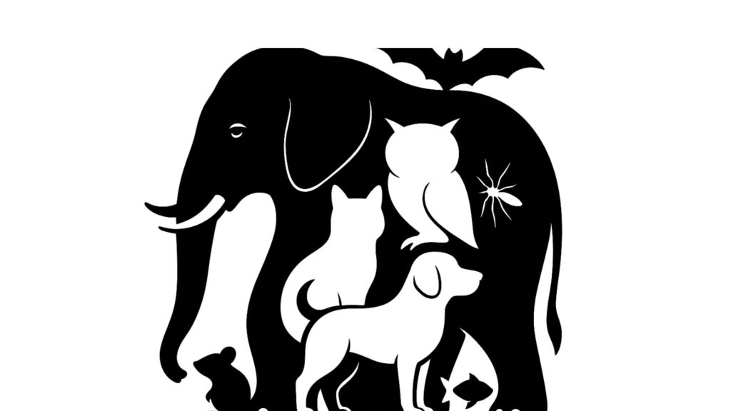 Você consegue encontrar todos os animais escondidos na imagem em apenas 20 segundos?