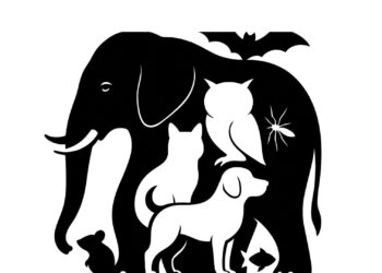 Você consegue encontrar todos os animais escondidos na imagem em apenas 20 segundos?