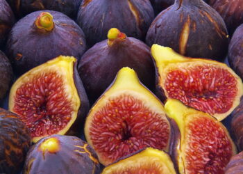 Dicas para conservar figos maduros e manter o sabor doce