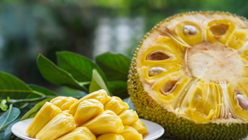 Fruta tropical que impressiona pelo tamanho e ótimo cultivo em seu quintal