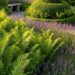 Conheça as plantas mais elegantes para ter seu jardim sempre fresco e saudável