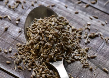 As propriedades curativas da erva-doce ajudam na digestão e em inflamações