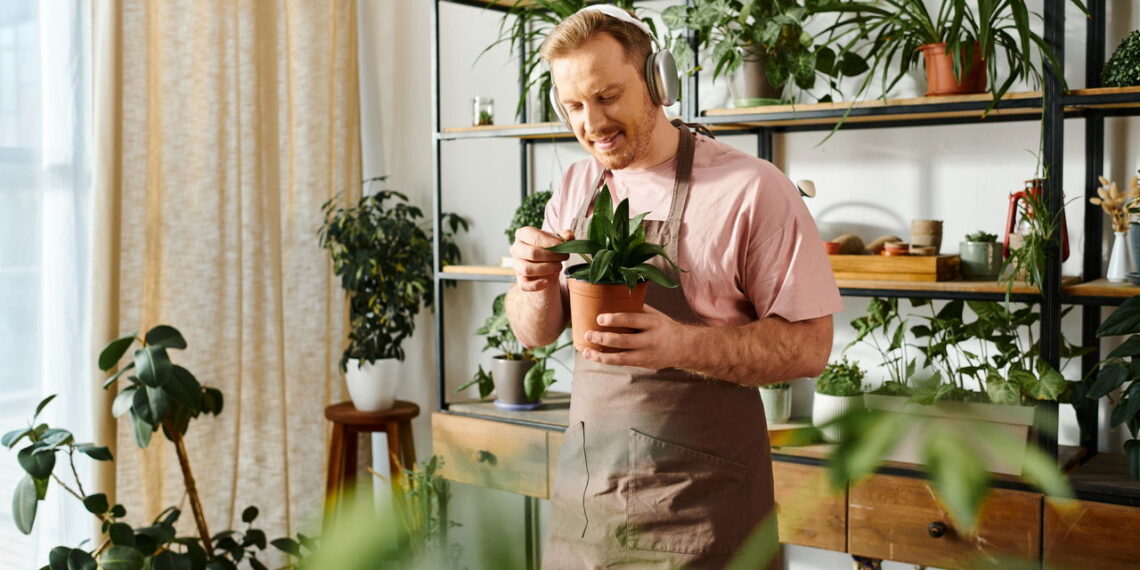 As 3 plantas que se adaptam a ambientes pequenos e modernos