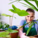 As 6 plantas que você pode cultivar para melhorar a sua imunidade naturalmente