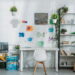 As 5 plantas para decorar sua casa e fazer ela parecer maior e mais aconchegante!