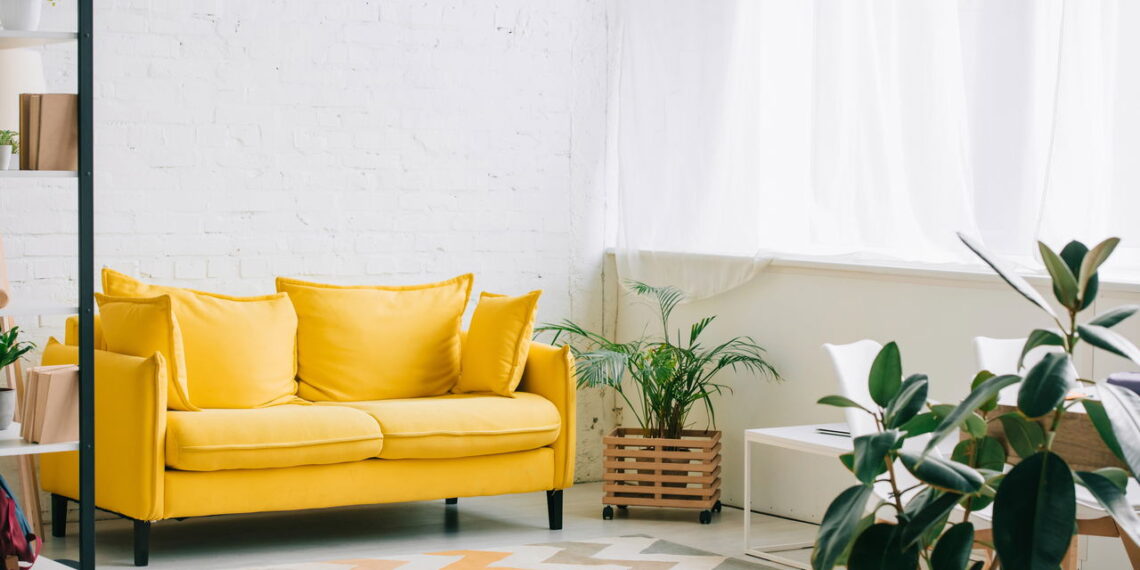 Seu jardim na parede: 10 plantas pendentes para espaços pequenos e aconchegantes