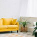 Seu jardim na parede: 10 plantas pendentes para espaços pequenos e aconchegantes