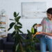 As 6 plantas ideais para ambientes com pouca luz e espaço!