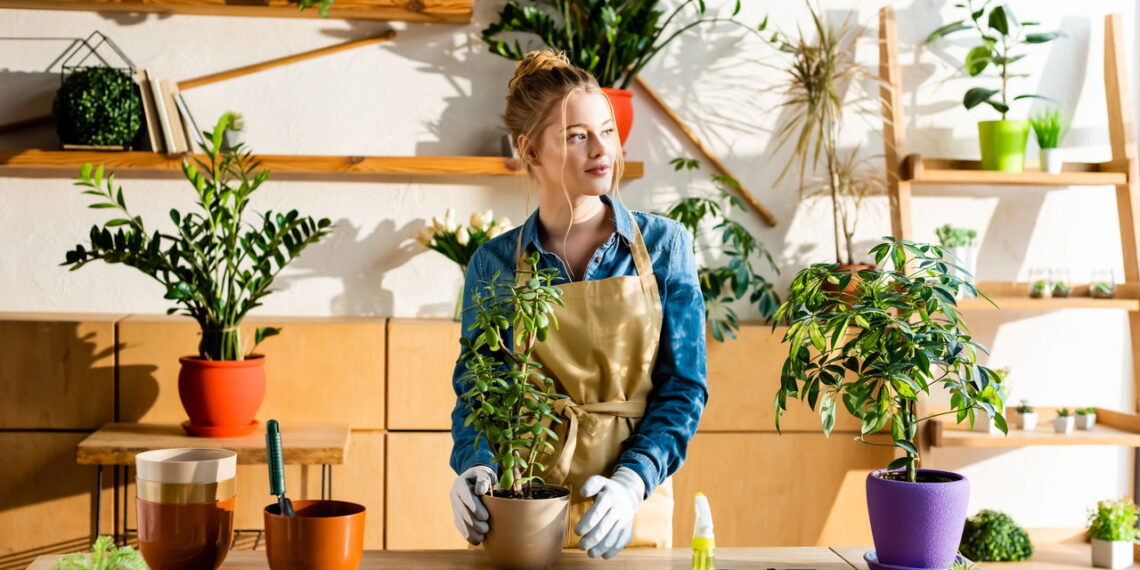 As 3 plantas que você precisa ter para flores durante todo o ano