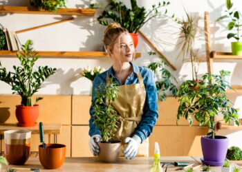 As 3 plantas que você precisa ter para flores durante todo o ano