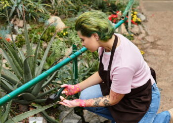 As 5 plantas que ajudam a manter sua casa mais fresca no verão!