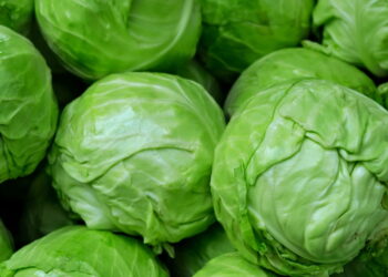 Vegetal nutritivo e amplamente cultivado ainda fascina os jardineiros