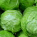 Vegetal nutritivo e amplamente cultivado ainda fascina os jardineiros