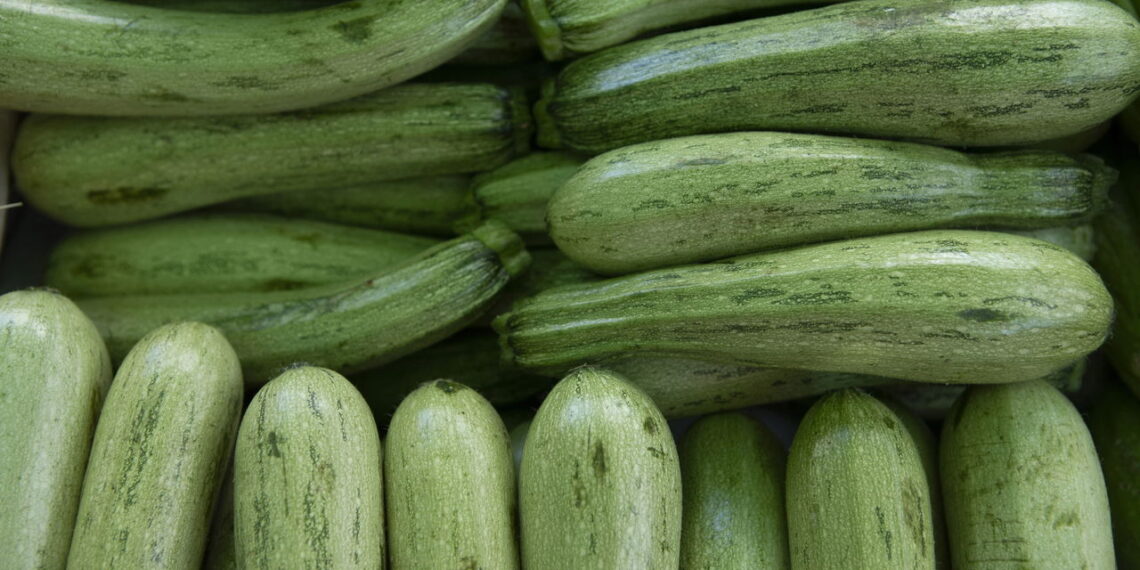 Hortaliça muito valorizada na culinária é apreciada também pelo fácil cultivo!
