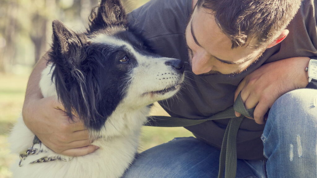 O que significa acariciar cachorros na rua segundo a psicologia