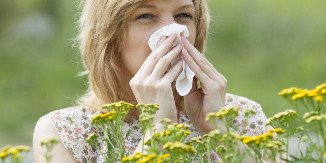 Adeus alergias: 5 plantas poderosas que funcionam como filtros naturais
