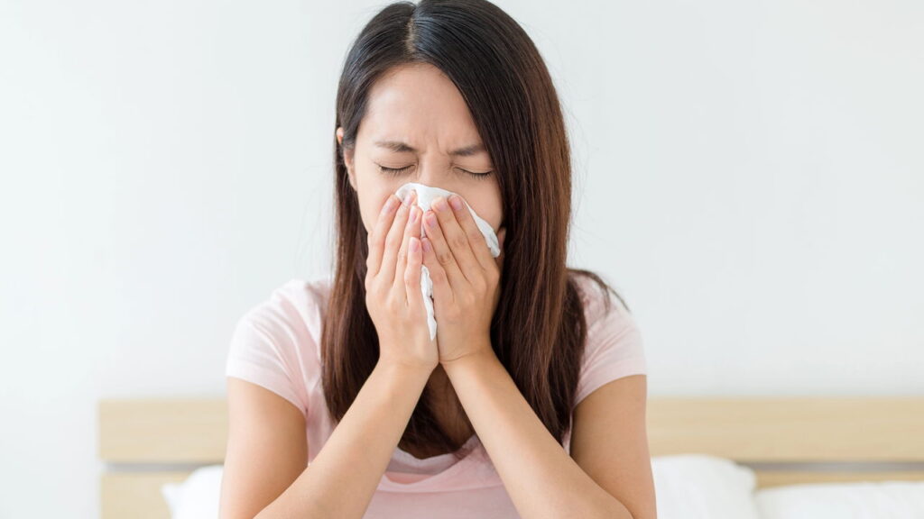 Adeus alergias: 5 plantas poderosas que funcionam como filtros naturais
