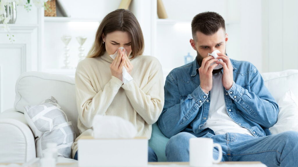 Adeus alergias: 5 plantas poderosas que funcionam como filtros naturais
