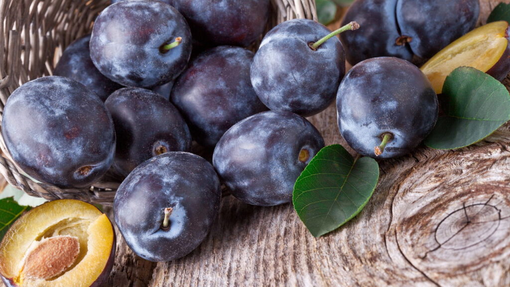 Fruta deliciosa encanta pelo sabor e simplicidade no cultivo